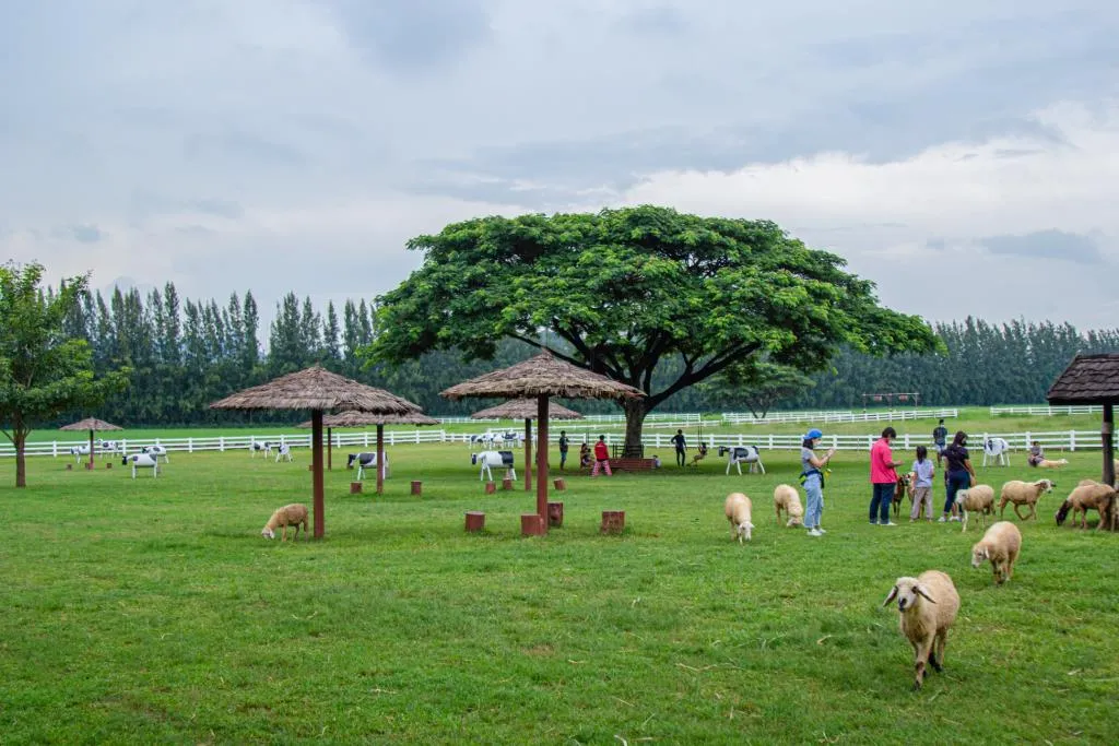 บริการแท็กซี่สระบุรี